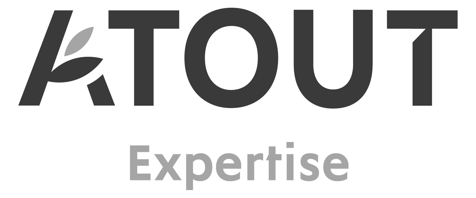 Logo atout expertise