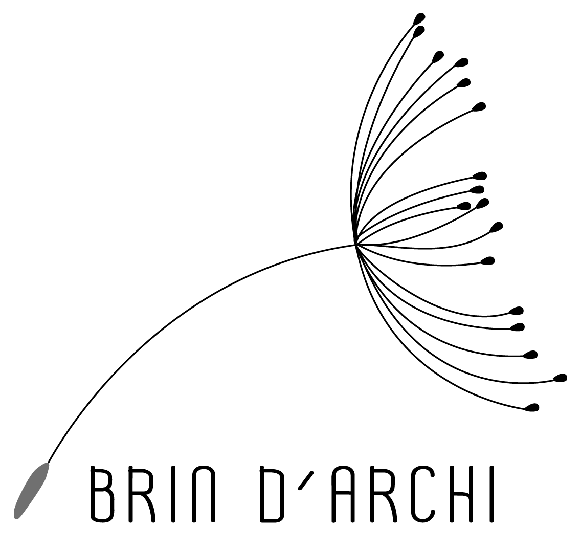 Logo brin d'archi
